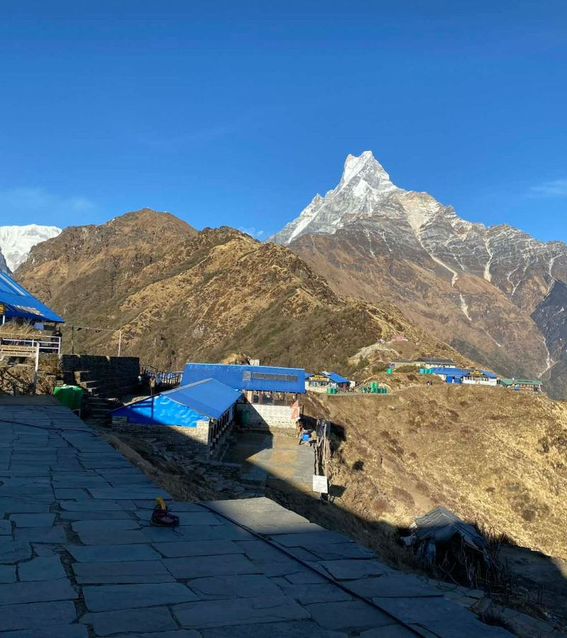 WhatsApp Image 2026-03-30 at 1.36.29 PM