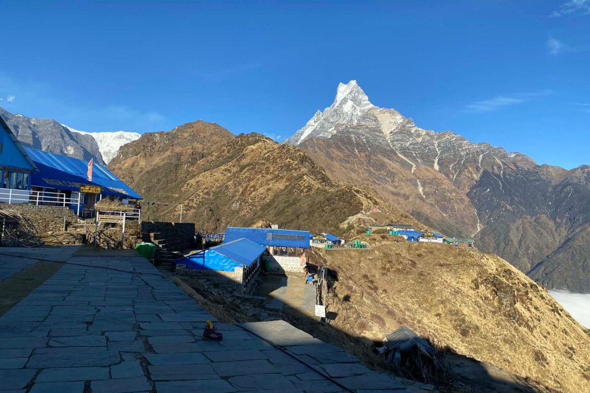 WhatsApp Image 2026-03-30 at 1.36.29 PM