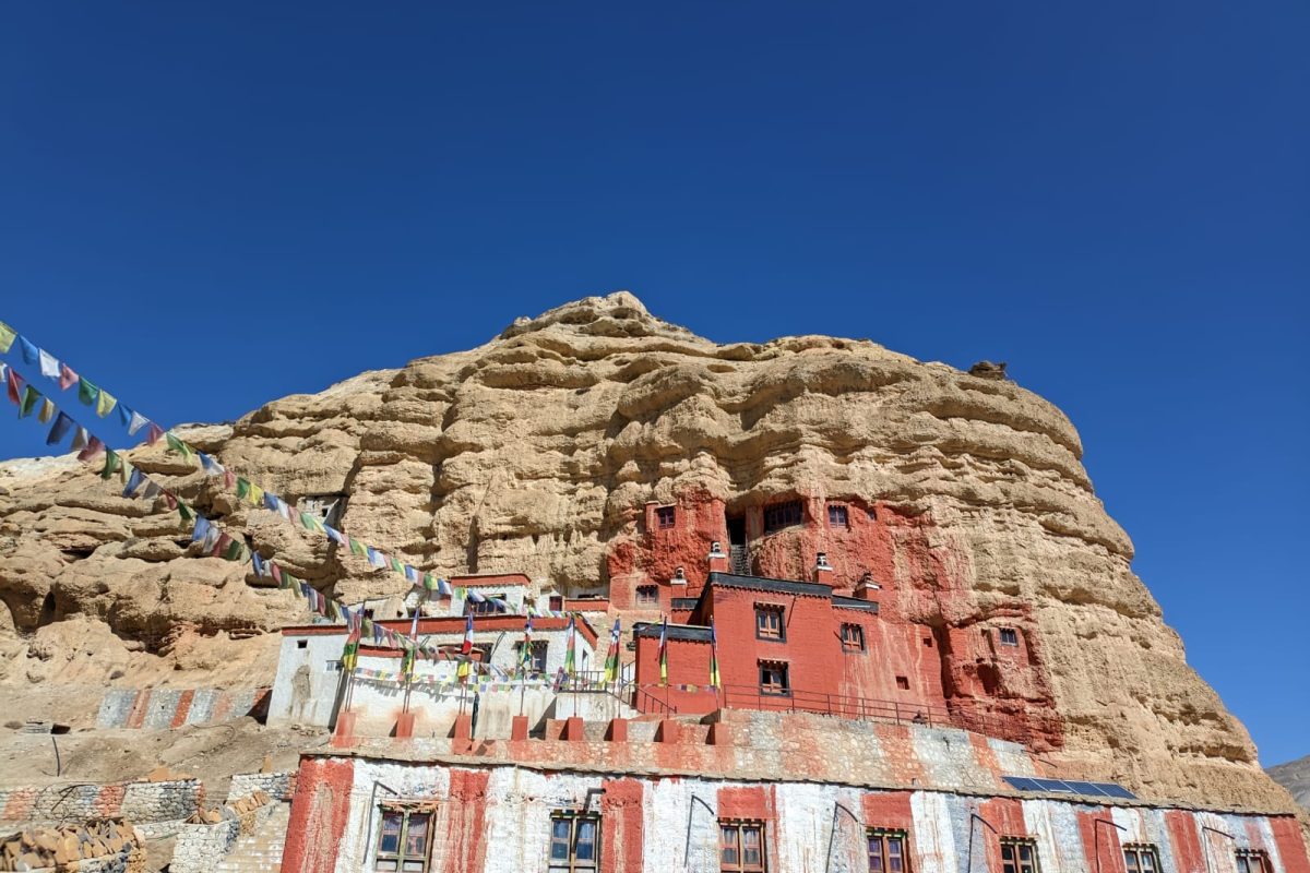 WhatsApp Image 2026-03-30 at 12.07.09 PM