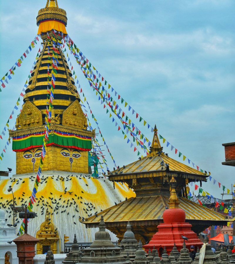 bikalpa-pokhrel-L4NA2qRqK0s-unsplash