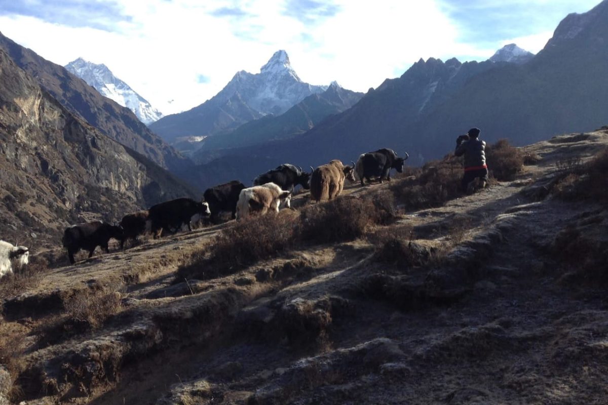 everest