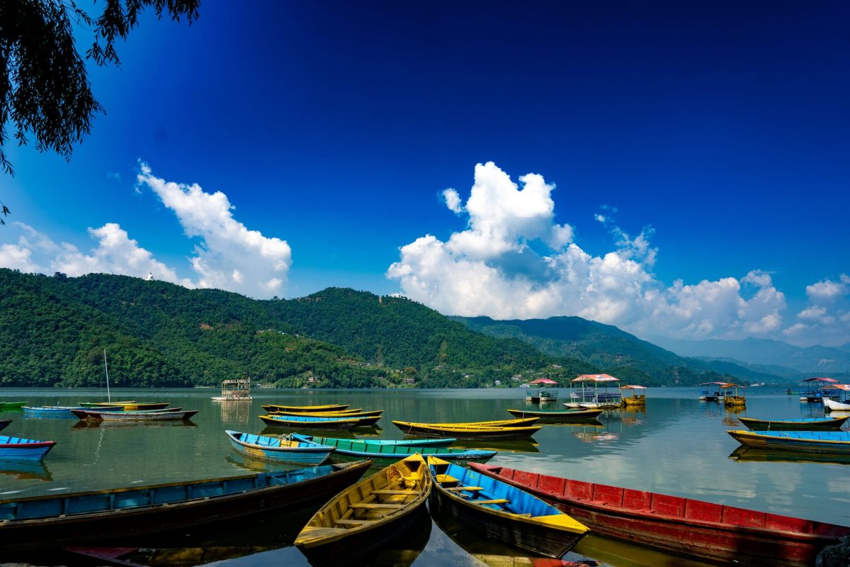 meera-pankhania-7cENZhgyf7c-unsplash